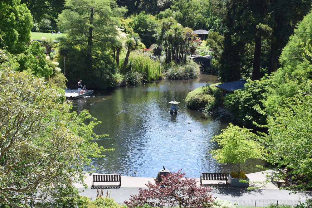 The pond and surrounding trees at Dunedin Botanic Garden on a sunny day