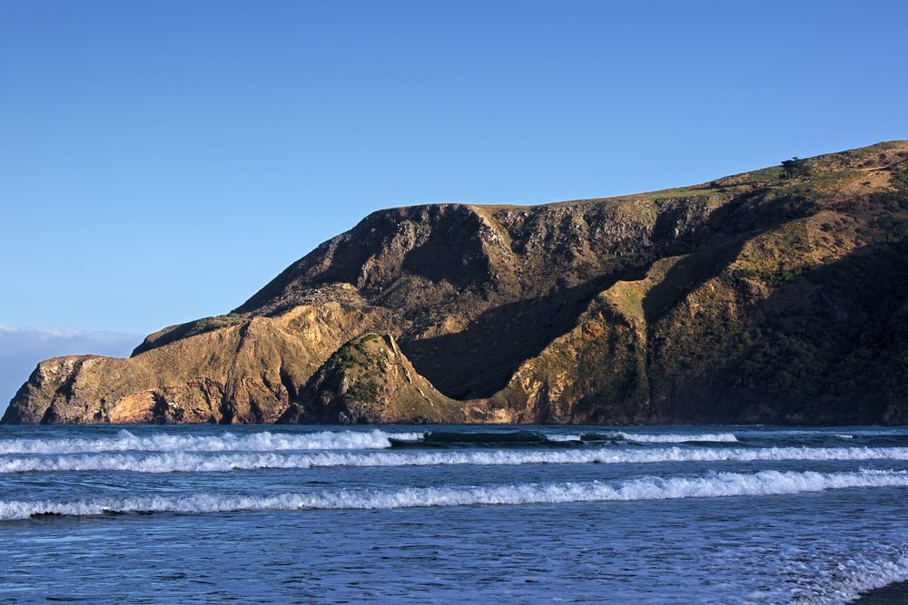 Steep cliffs and breaking surf along the coastline at Sandymount, Otago Peninsula