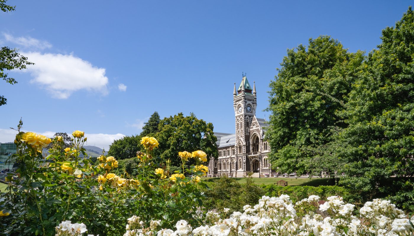 The University of Otago Registry clocktower building seen across the campus rose gardens in summer